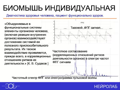 БиоМышь помогает исследовать вариабельность сердечного ритма